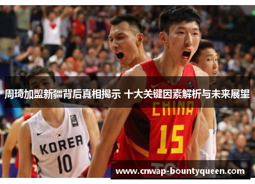 周琦加盟新疆背后真相揭示 十大关键因素解析与未来展望
