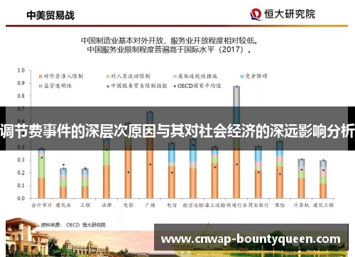 调节费事件的深层次原因与其对社会经济的深远影响分析