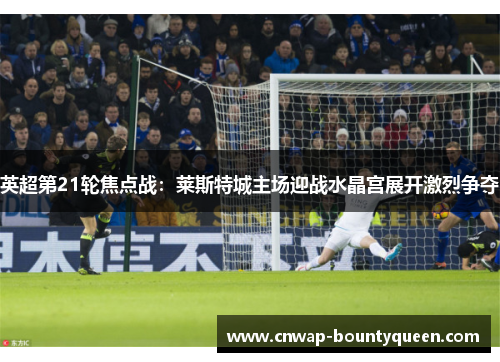 英超第21轮焦点战：莱斯特城主场迎战水晶宫展开激烈争夺