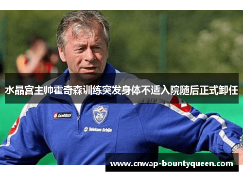 水晶宫主帅霍奇森训练突发身体不适入院随后正式卸任